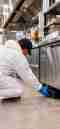 Control de plagas en restaurantes y hostelería en Madrid