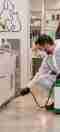 Control de plagas en clinicas veterinarias madrid